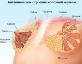 ��������� ������� � ������� ����� - ������� � �������� фото