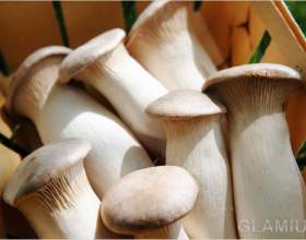 ����� ���� фото