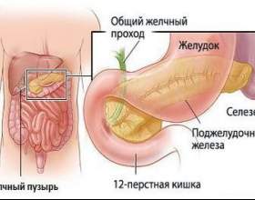 �������, ���������� �� �������� ����������� фото
