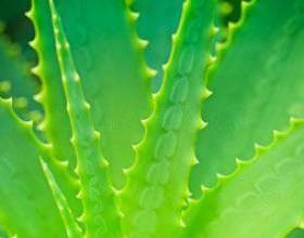 �� �������� ����� ��� ������� � ����? фото