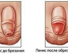 �� � ����� ������� �������� � �������: ����- � ������������ фото
