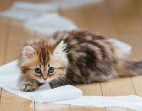�� ������� ������ � ��������? фото
