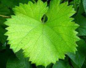 �� ���������� ���������� �����? фото