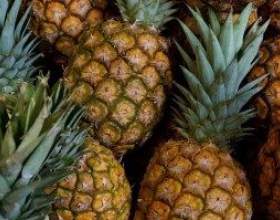 �� ��������� �������� ������� � ������� ������� ����� фото