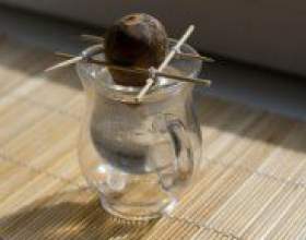 �� �������� ������� � �������? фото