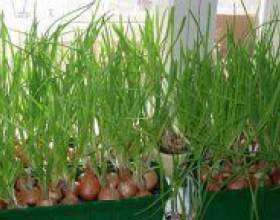 �� �������� ������ �� ������ �� ��������? фото