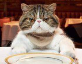 �� ��������� �������� ����? фото