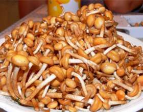�� ����������� ������� ������ � ��������� фото
