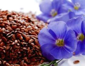 �� �������� ����� �����: ������� � ����� фото