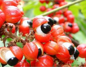 �� �������� ����� ������ ��� ��������� фото