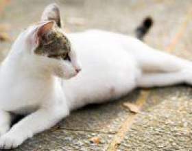 �� �������� ������ � ����? фото
