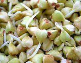 �� ����������� ������ ������? фото