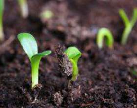 �� ��������� ������� ������? фото
