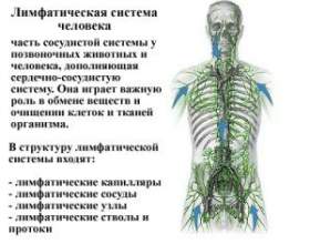 �� ��������� �������� ��������� ������ �������? фото
