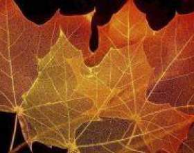 �� ������������ �����? фото