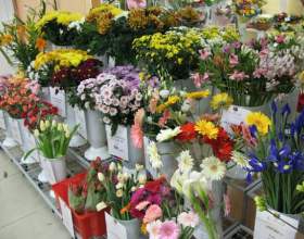 �� ������ ����� ��� �������� ����� ������ - �������-����� �� ������ ���� ������ ������� фото