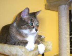 �� ������ ���� � �������? фото