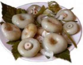 �� ������ ����� ������� ��������? фото
