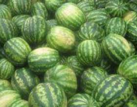 �� ������� ����� ��� �������? фото