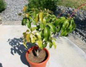 �� ��������� ����� � �������? фото