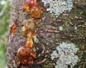 �� ������� ����� � �����? фото