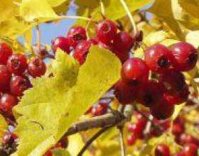 �� ���������� ��� �� ����? фото