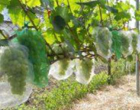 �� ��������� �������� �� ��? фото