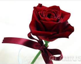 �� ���� ����� ���������� �������� фото