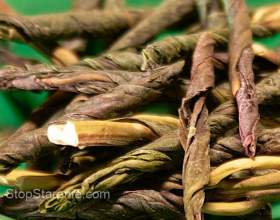 ���� - �� ���, ��� ��� ���� ��� ���������? фото