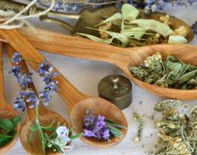 ˳������� �������� ��������� ��������: ����� ������� фото