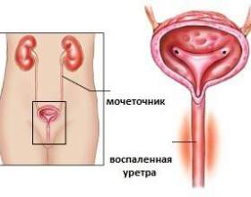 ˳������� �������� - ������ � ������� ���������� фото
