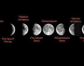 ̳������ �������� ������� 2017: ��������� ���. ������� ������� �� ������� ���� фото