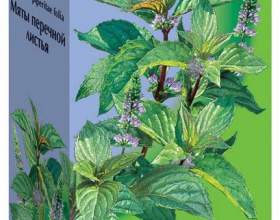 �`��� ��� ���������� �������� фото