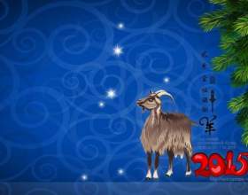 ����� �� 2015 - �� ���������, �� ����������� фото