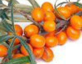 ����� ������� - ���������� � ������������ фото