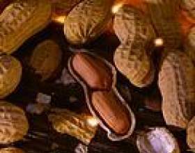 ���� ������ фото
