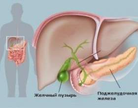 &laquo;������&raquo;: ������ ������� � ������������ ������ фото