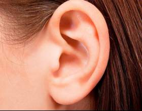 ������� ����: �� �������? фото