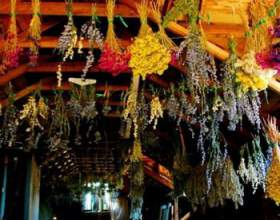 �������������� ��������ﳿ (���� � ������) фото