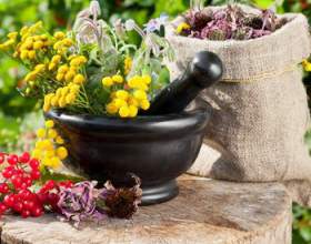 �������� � �������� ���������� ������� фото